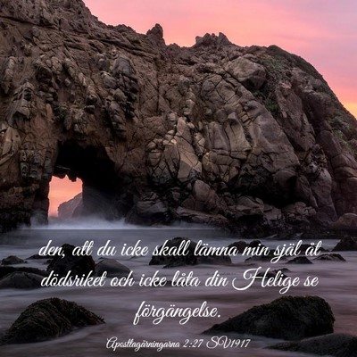 Picture 03 - Apostlagärningarna 2:27 SV1917 - den, att du icke skall lämna min själ åt - Bible Verse Picture