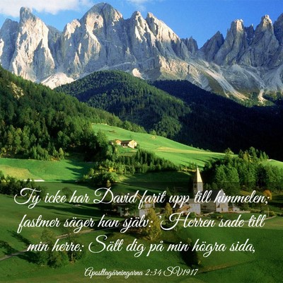 Picture 03 - Apostlagärningarna 2:34 SV1917 - Ty icke har David farit upp till himmelen; - Bible Verse Picture
