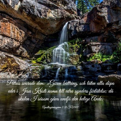 Picture 03 - Apostlagärningarna 2:38 SV1917 - Petrus svarade dem: »Gören bättring, och - Bible Verse Picture
