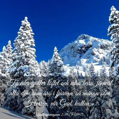 Picture 03 - Apostlagärningarna 2:39 SV1917 - Ty eder gäller löftet och edra barn, jämväl - Bible Verse Picture