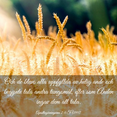 Picture 03 - Apostlagärningarna 2:4 SV1917 - Och de blevo alla uppfyllda av helig ande och - Bible Verse Picture