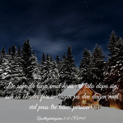 Picture 03 - Apostlagärningarna 2:41 SV1917 - De som då togo emot hans ort läto döpa sig; - Bible Verse Picture