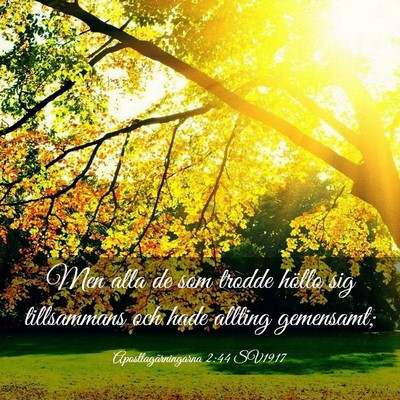 Picture 03 - Apostlagärningarna 2:44 SV1917 - Men alla de som trodde höllo sig tillsammans och - Bible Verse Picture