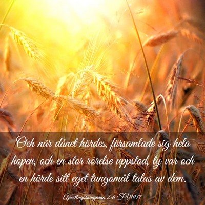 Picture 03 - Apostlagärningarna 2:6 SV1917 - Och när dånet hördes, församlade sig hela - Bible Verse Picture
