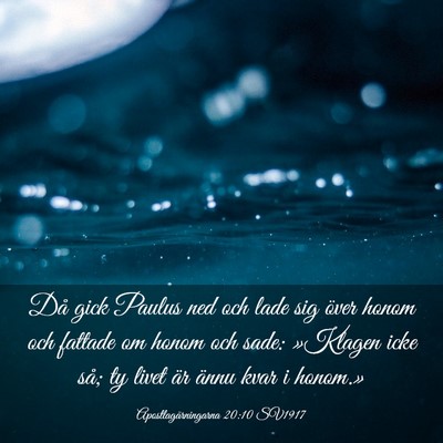 Picture 03 - Apostlagärningarna 20:10 SV1917 - Då gick Paulus ned och lade sig över honom och - Bible Verse Picture