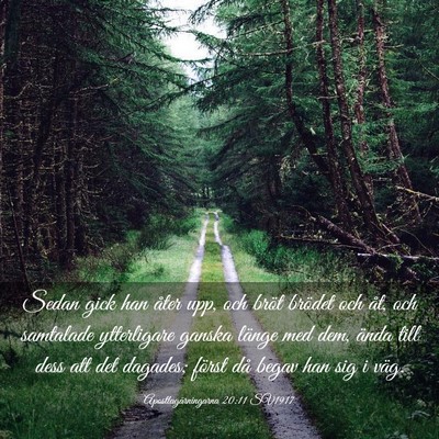 Picture 03 - Apostlagärningarna 20:11 SV1917 - Sedan gick han åter upp, och bröt brödet och - Bible Verse Picture