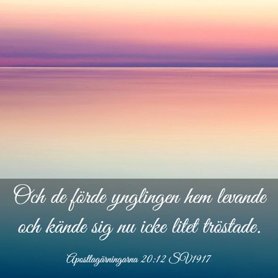 Picture 03 - Apostlagärningarna 20:12 SV1917 - Och de förde ynglingen hem levande och kände - Bible Verse Picture