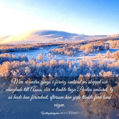 Picture 03 - Apostlagärningarna 20:13 SV1917 - Men vi andra gingo i förväg ombord på skeppet - Bible Verse Picture