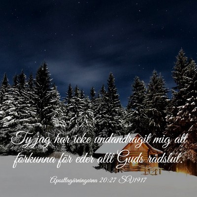 Picture 03 - Apostlagärningarna 20:27 SV1917 - Ty jag har icke undandragit mig att förkunna - Bible Verse Picture