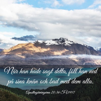 Picture 03 - Apostlagärningarna 20:36 SV1917 - När han hade sagt detta, föll han ned på sina - Bible Verse Picture