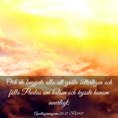Picture 03 - Apostlagärningarna 20:37 SV1917 - Och de begynte alla att gråta bitterligen och - Bible Verse Picture
