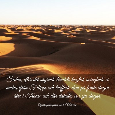 Picture 03 - Apostlagärningarna 20:6 SV1917 - Sedan, efter det osyrade brödets högtid, - Bible Verse Picture