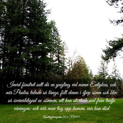 Picture 03 - Apostlagärningarna 20:9 SV1917 - Invid fönstret satt då en yngling vid namn - Bible Verse Picture