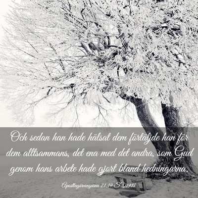 Picture 03 - Apostlagärningarna 21:19 SV1917 - Och sedan han hade hälsat dem förtäljde han - Bible Verse Picture