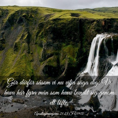 Picture 03 - Apostlagärningarna 21:23 SV1917 - Gör därför såsom vi nu vilja säga dig. Vi - Bible Verse Picture