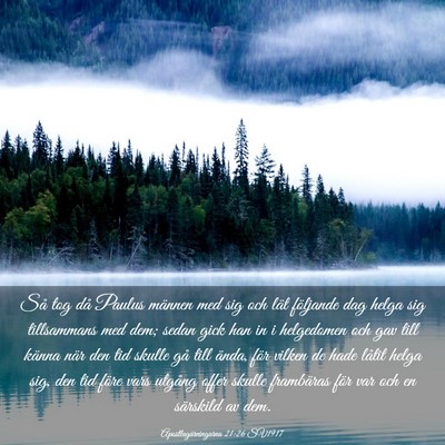 Picture 03 - Apostlagärningarna 21:26 SV1917 - Så tog då Paulus männen med sig och lät - Bible Verse Picture