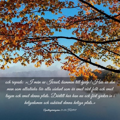 Picture 03 - Apostlagärningarna 21:28 SV1917 - och ropade: »I män av Israel, kommen till - Bible Verse Picture