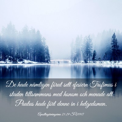 Picture 03 - Apostlagärningarna 21:29 SV1917 - De hade nämligen förut sett efesiern Trofimus i - Bible Verse Picture