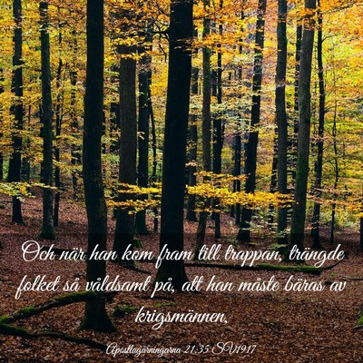 Picture 03 - Apostlagärningarna 21:35 SV1917 - Och när han kom fram till trappan, trängde - Bible Verse Picture