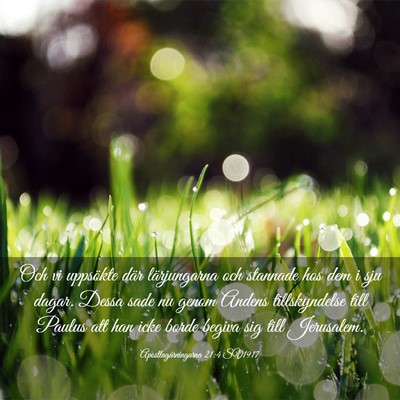 Picture 03 - Apostlagärningarna 21:4 SV1917 - Och vi uppsökte där lärjungarna och stannade - Bible Verse Picture