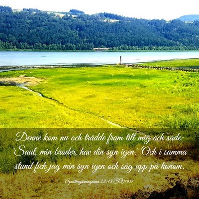 Picture 03 - Apostlagärningarna 22:13 SV1917 - Denne kom nu och trädde fram till mig och sade: - Bible Verse Picture