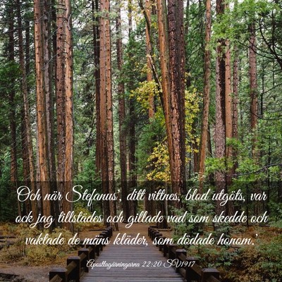 Picture 03 - Apostlagärningarna 22:20 SV1917 - Och när Stefanus', ditt vittnes, blod utgöts, - Bible Verse Picture