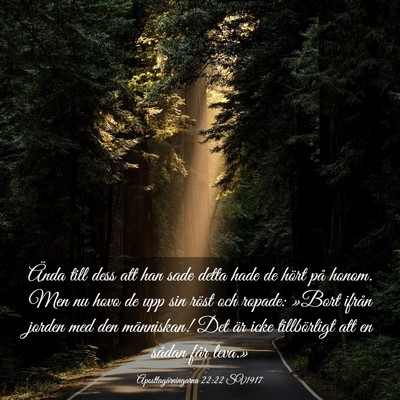 Picture 03 - Apostlagärningarna 22:22 SV1917 - Ända till dess att han sade detta hade de hört - Bible Verse Picture