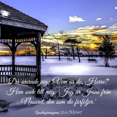 Picture 03 - Apostlagärningarna 22:8 SV1917 - Då svarade jag: 'Vem är du, Herre?' Han sade - Bible Verse Picture