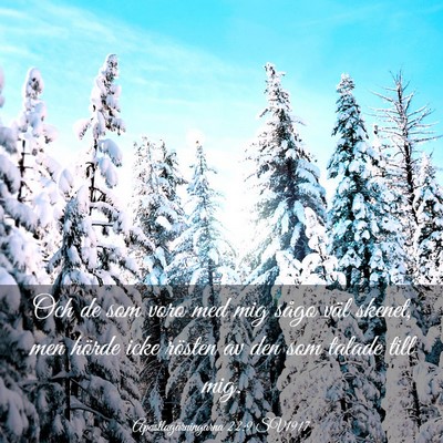 Picture 03 - Apostlagärningarna 22:9 SV1917 - Och de som voro med mig sågo väl skenet, men - Bible Verse Picture