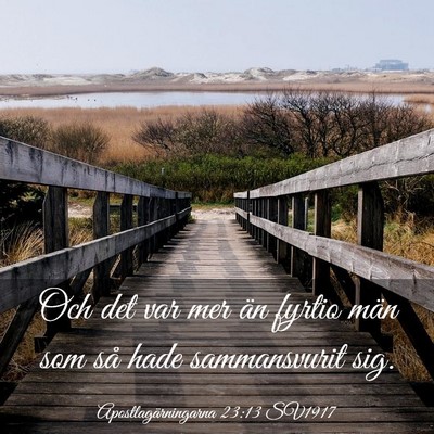 Picture 03 - Apostlagärningarna 23:13 SV1917 - Och det var mer än fyrtio män som så hade - Bible Verse Picture