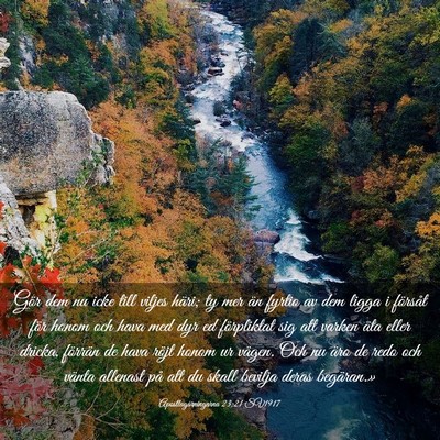Picture 03 - Apostlagärningarna 23:21 SV1917 - Gör dem nu icke till viljes häri; ty mer än - Bible Verse Picture