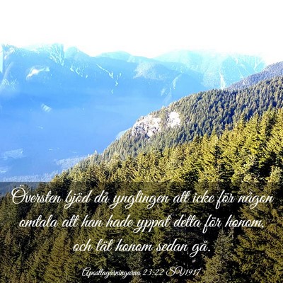 Picture 03 - Apostlagärningarna 23:22 SV1917 - Översten bjöd då ynglingen att icke för - Bible Verse Picture