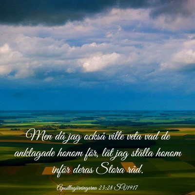 Picture 03 - Apostlagärningarna 23:28 SV1917 - Men då jag också ville veta vad de anklagade - Bible Verse Picture