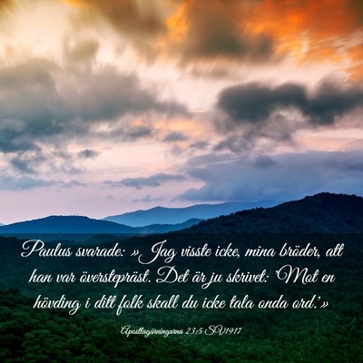 Picture 03 - Apostlagärningarna 23:5 SV1917 - Paulus svarade: »Jag visste icke, mina bröder, - Bible Verse Picture