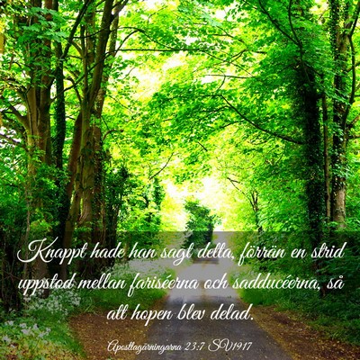 Picture 03 - Apostlagärningarna 23:7 SV1917 - Knappt hade han sagt detta, förrän en strid - Bible Verse Picture