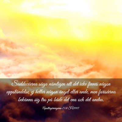 Picture 03 - Apostlagärningarna 23:8 SV1917 - Sadducéerna säga nämligen att det icke finnes - Bible Verse Picture