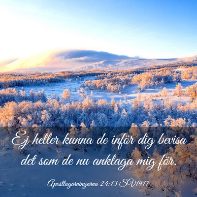 Picture 03 - Apostlagärningarna 24:13 SV1917 - Ej heller kunna de inför dig bevisa det som de - Bible Verse Picture
