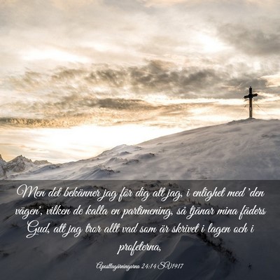 Picture 03 - Apostlagärningarna 24:14 SV1917 - Men det bekänner jag för dig att jag, i - Bible Verse Picture