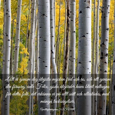 Picture 03 - Apostlagärningarna 24:3 SV1917 - »Att vi genom dig åtnjuta mycken frid och ro, - Bible Verse Picture