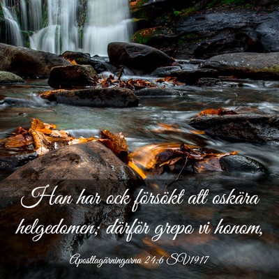 Picture 03 - Apostlagärningarna 24:6 SV1917 - Han har ock försökt att oskära helgedomen; - Bible Verse Picture