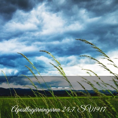Picture 03 - Apostlagärningarna 24:7 SV1917 -  - Bible Verse Picture