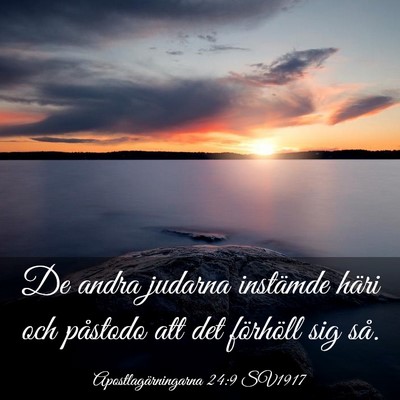 Picture 03 - Apostlagärningarna 24:9 SV1917 - De andra judarna instämde häri och påstodo att - Bible Verse Picture