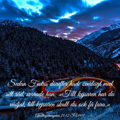 Picture 03 - Apostlagärningarna 25:12 SV1917 - Sedan Festus därefter hade överlagt med sitt - Bible Verse Picture