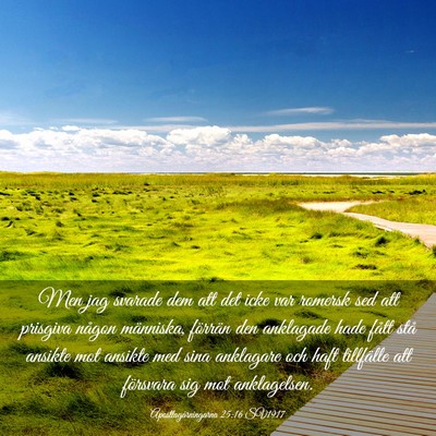 Picture 03 - Apostlagärningarna 25:16 SV1917 - Men jag svarade dem att det icke var romersk sed - Bible Verse Picture