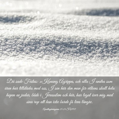 Picture 03 - Apostlagärningarna 25:24 SV1917 - Då sade Festus: »Konung Agrippa, och alla I - Bible Verse Picture