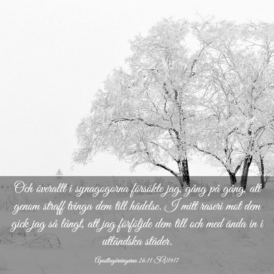 Picture 03 - Apostlagärningarna 26:11 SV1917 - Och överallt i synagogorna försökte jag, gång - Bible Verse Picture