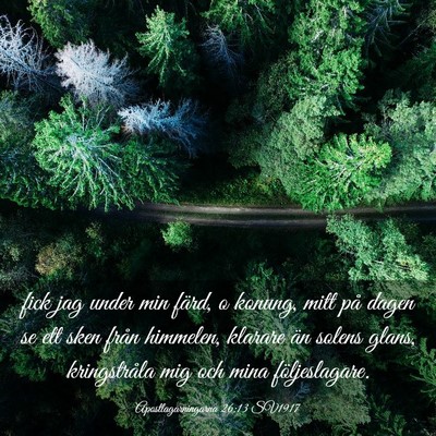 Picture 03 - Apostlagärningarna 26:13 SV1917 - fick jag under min färd, o konung, mitt på - Bible Verse Picture