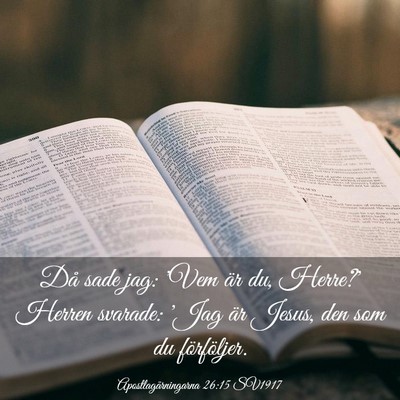 Picture 03 - Apostlagärningarna 26:15 SV1917 - Då sade jag: 'Vem är du, Herre?' Herren - Bible Verse Picture