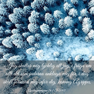 Picture 03 - Apostlagärningarna 26:2 SV1917 - »Jag skattar mig lycklig att jag, i fråga om - Bible Verse Picture
