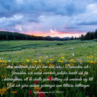 Picture 03 - Apostlagärningarna 26:20 SV1917 - utan predikade först för dem som voro i - Bible Verse Picture